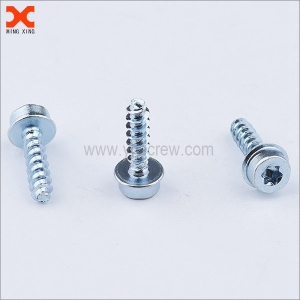 torx drive sems pt thread forming screws çêker