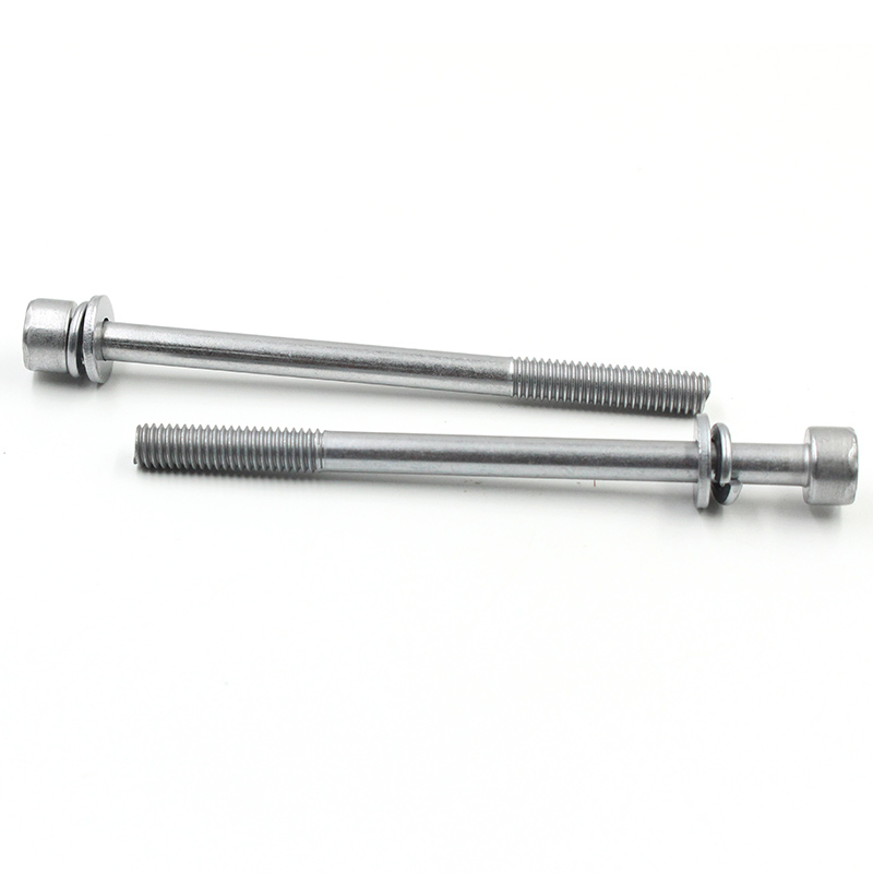 Sems Screw (10)